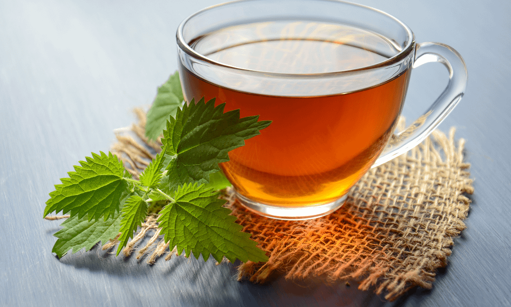 Herbal Tea for decrease the fat of the body | Mohit Bansal Chandigarh 