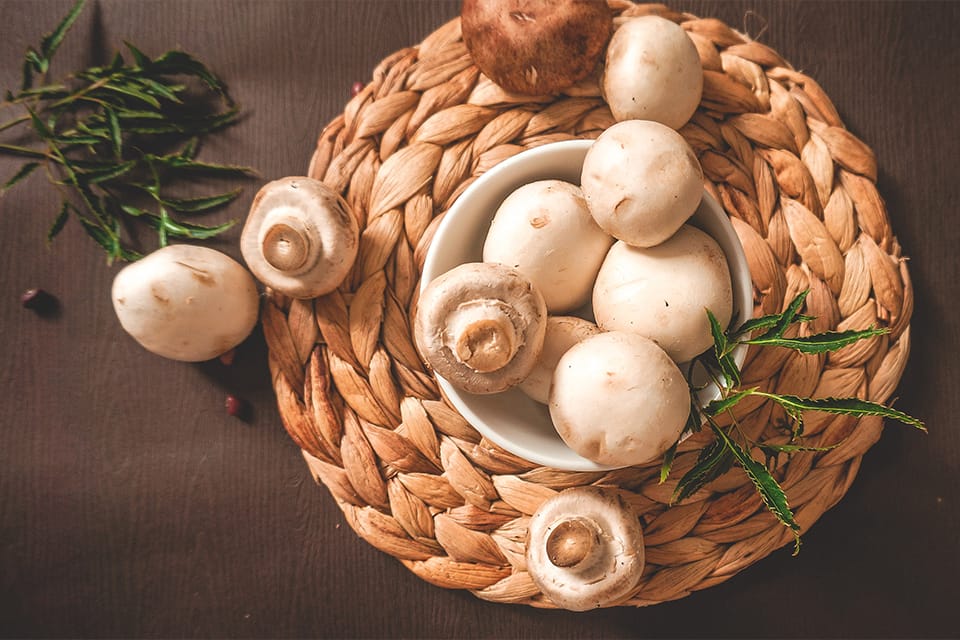 Mushrooms  | Mohit Bansal Chandigarh