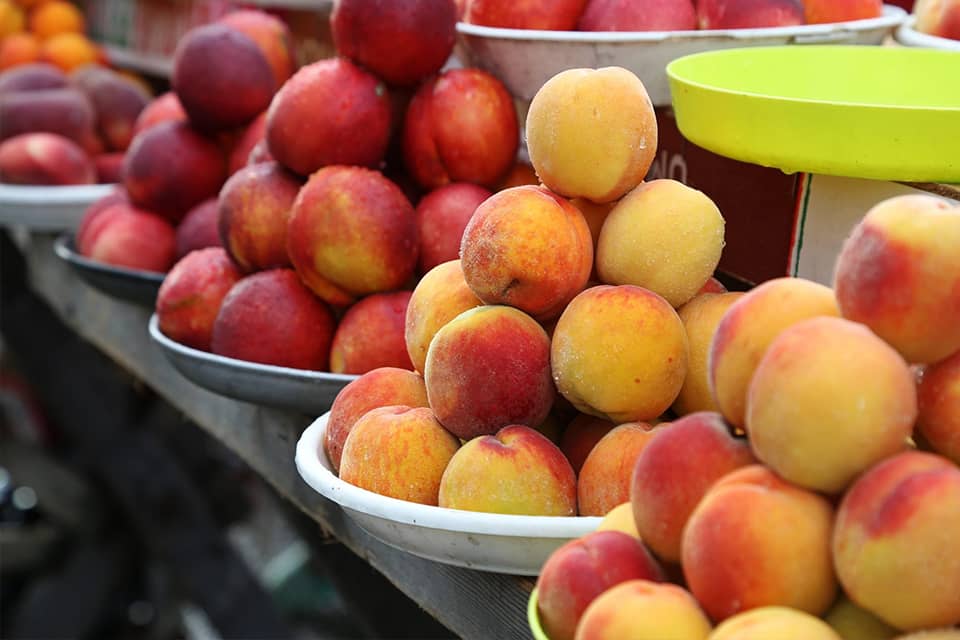  Peaches | Mohit Bansal Chandigarh