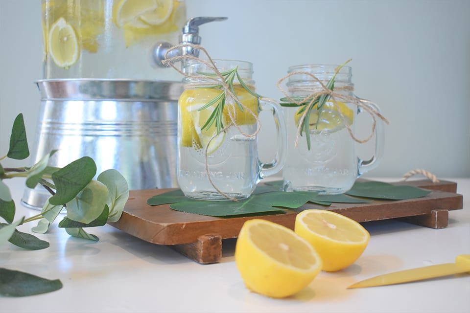 Lemon cooler | Mohit Bansal Chandigarh